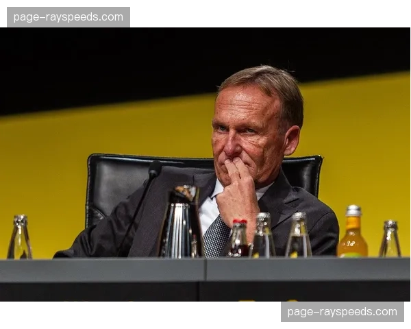 前西班牙人俱乐部主席因财务违规案被判入狱，检方已提起上诉。